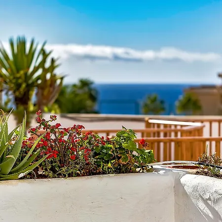 Appartement Parque Royal 1 &